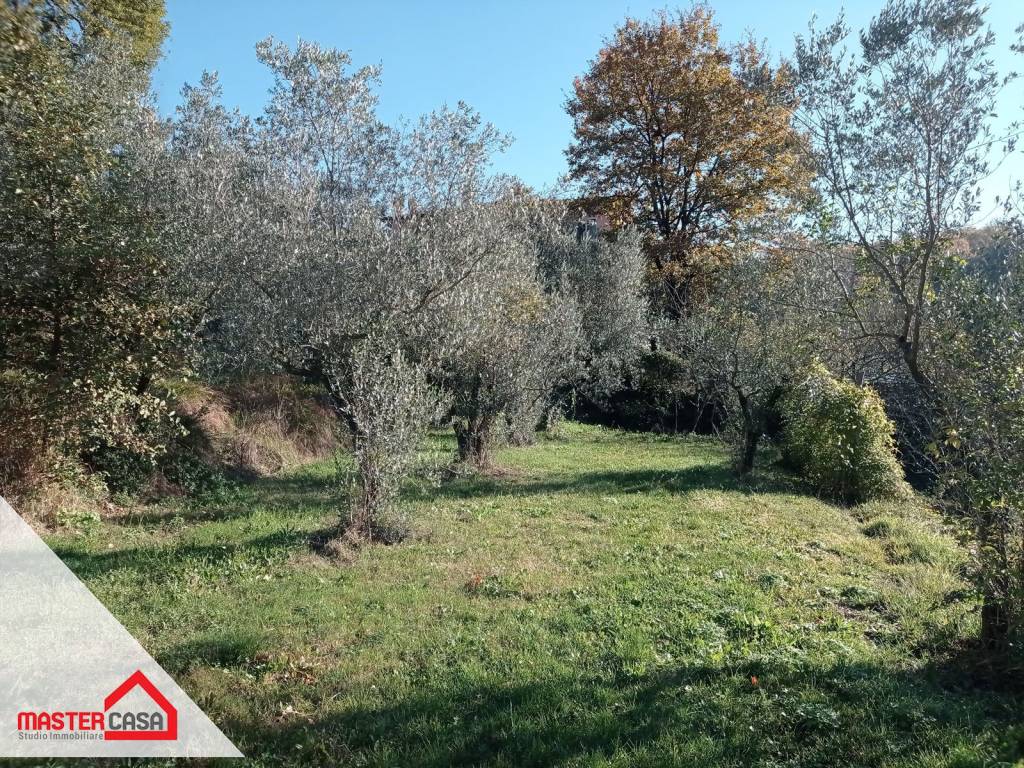 immagine annuncio 6 di 14