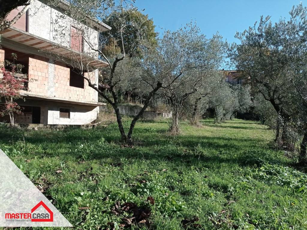 immagine annuncio 5 di 14