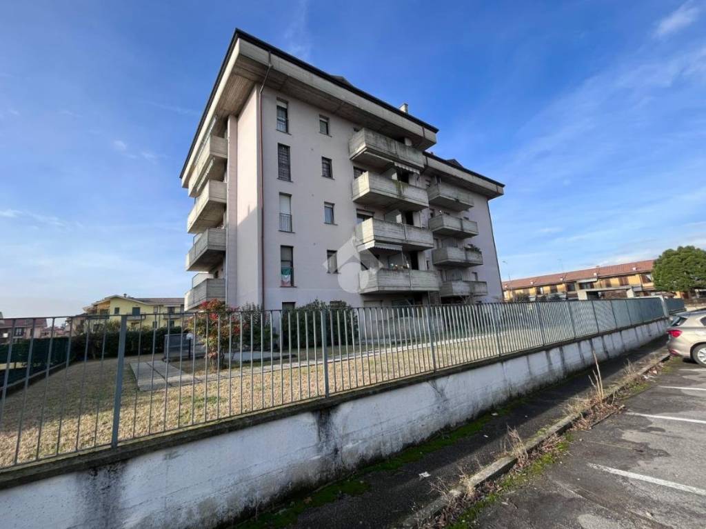 immagine annuncio 2 di 15