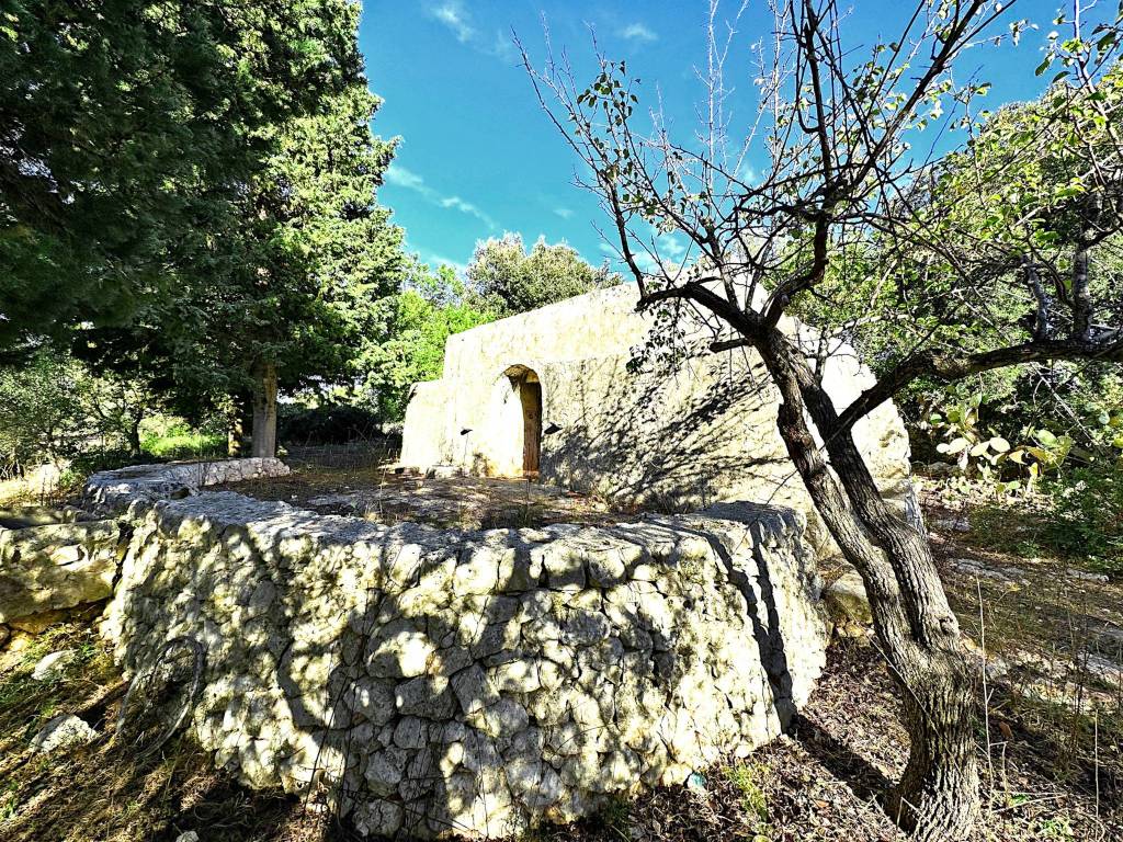 immagine annuncio 4 di 11