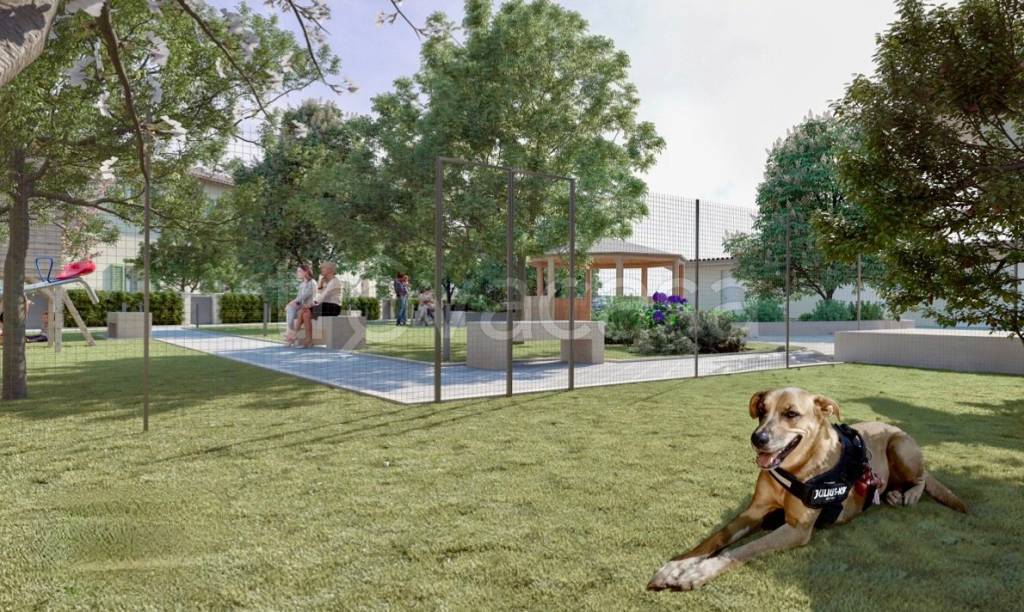 immagine annuncio 4 di 15