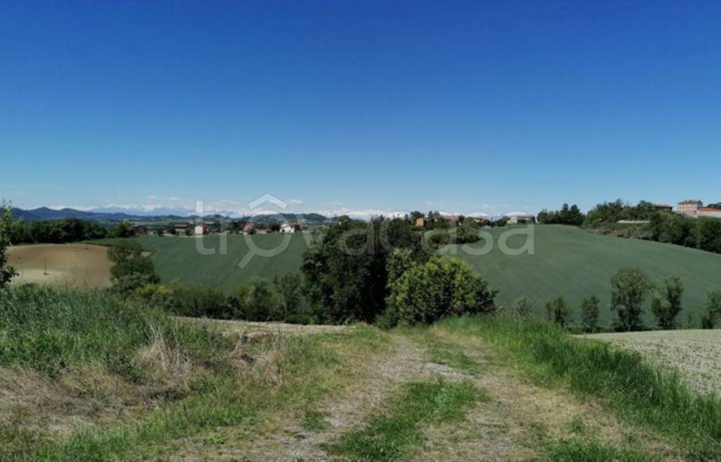 immagine annuncio 10 di 13