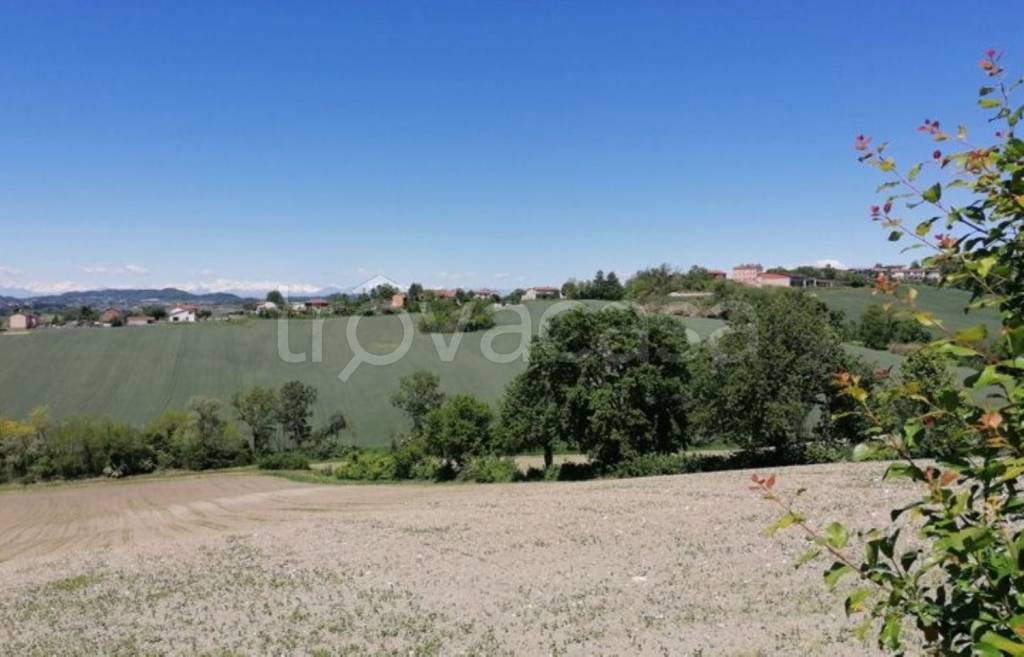 immagine annuncio 8 di 13