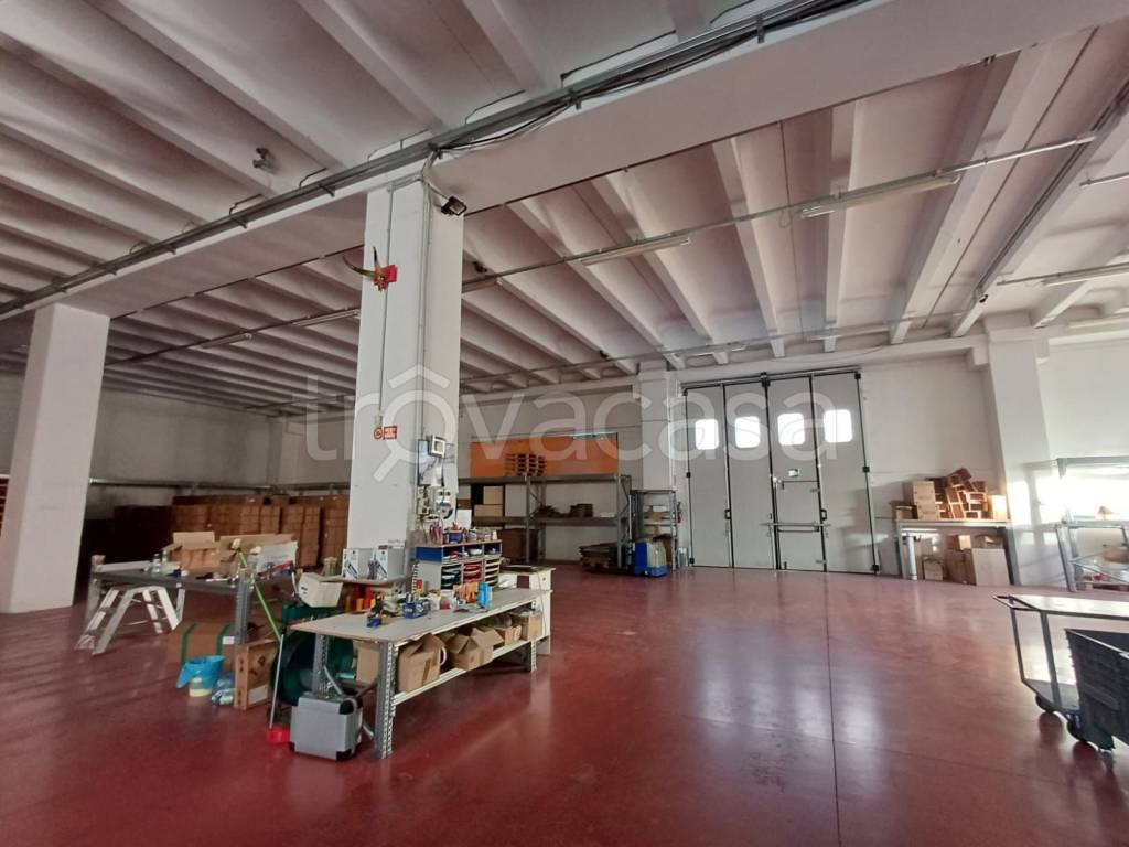 Capannone Industriale in vendita a Camerata Picena