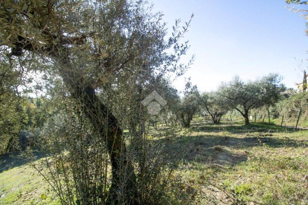 immagine annuncio 4 di 8