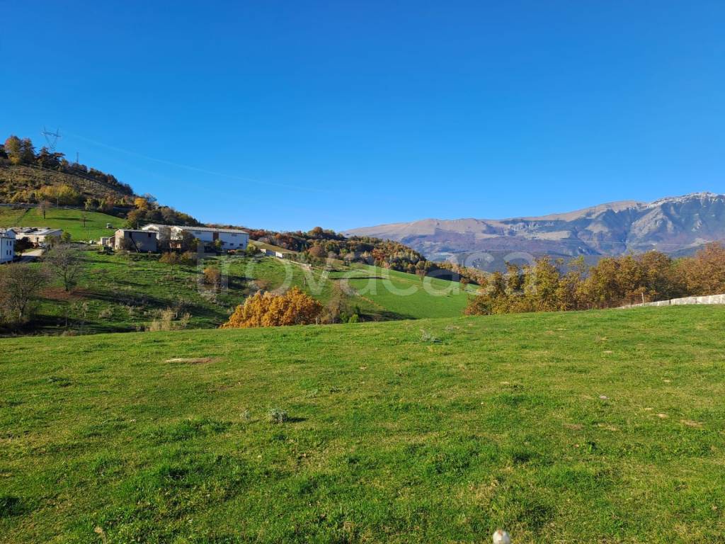 immagine annuncio 5 di 14