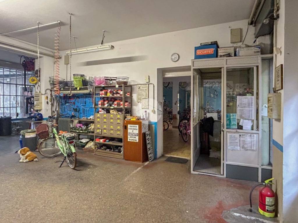 immagine annuncio 9 di 15