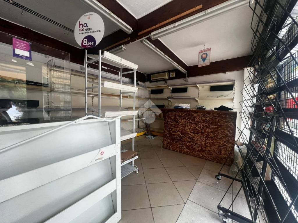 immagine annuncio 6 di 14