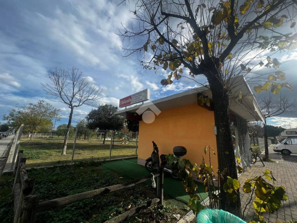 immagine annuncio 10 di 14