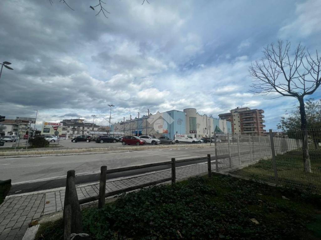 immagine annuncio 12 di 14