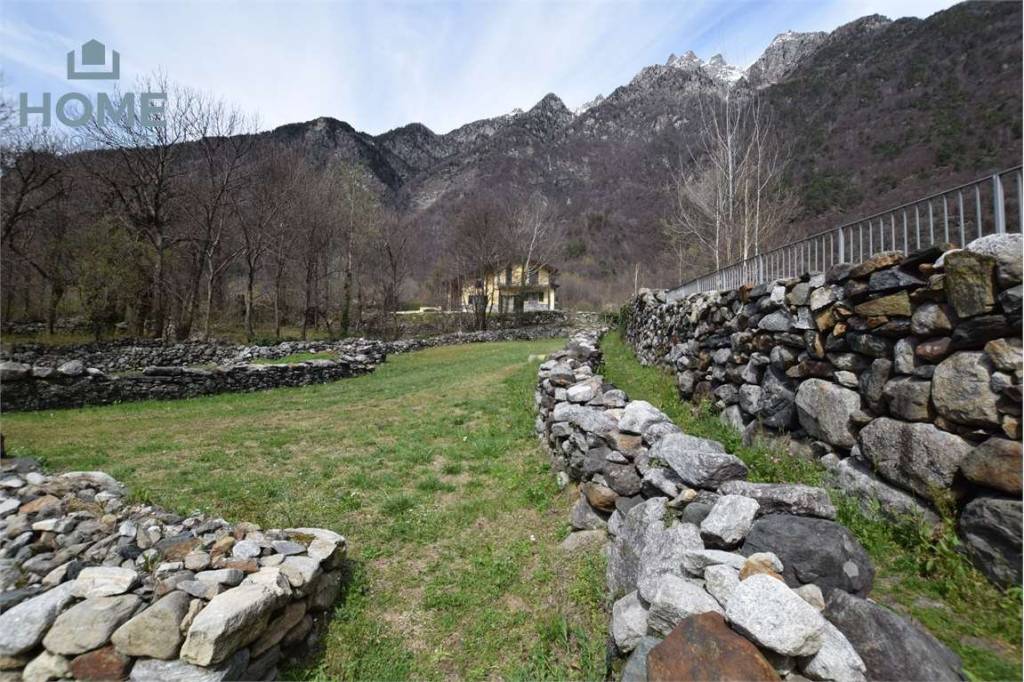 immagine annuncio 1 di 6