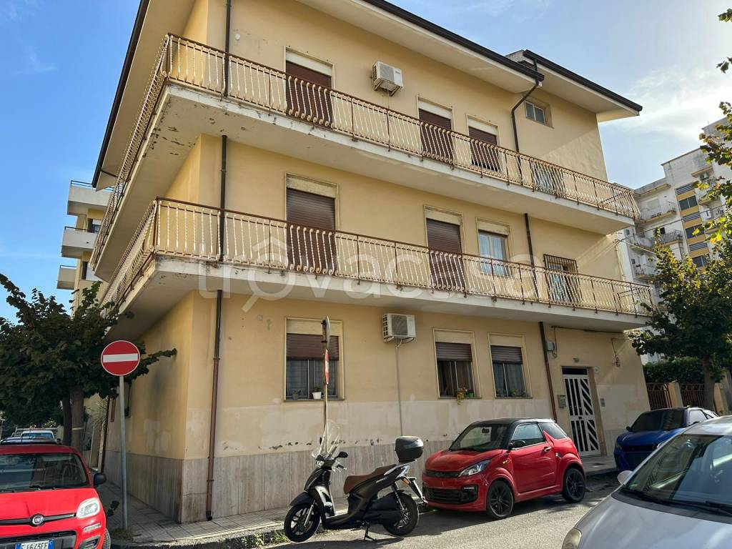 immagine annuncio 5 di 14
