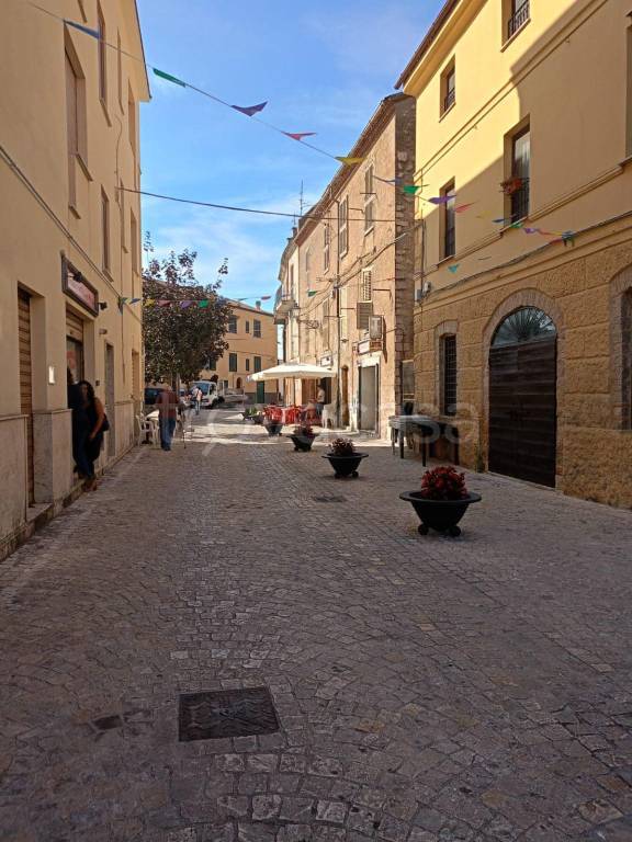 immagine annuncio 4 di 6
