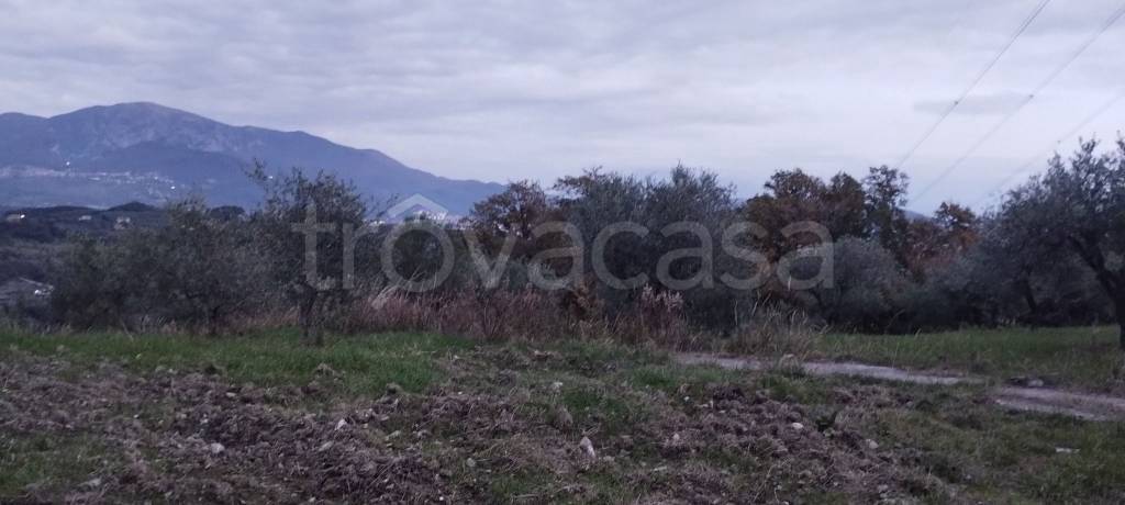 Terreno Agricolo in vendita a Montecorvino Pugliano via Macchia Morese