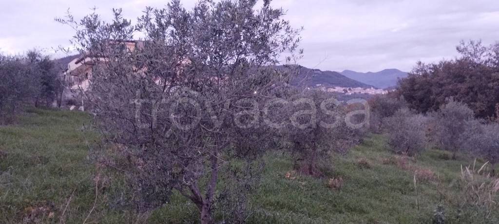 immagine annuncio 3 di 9
