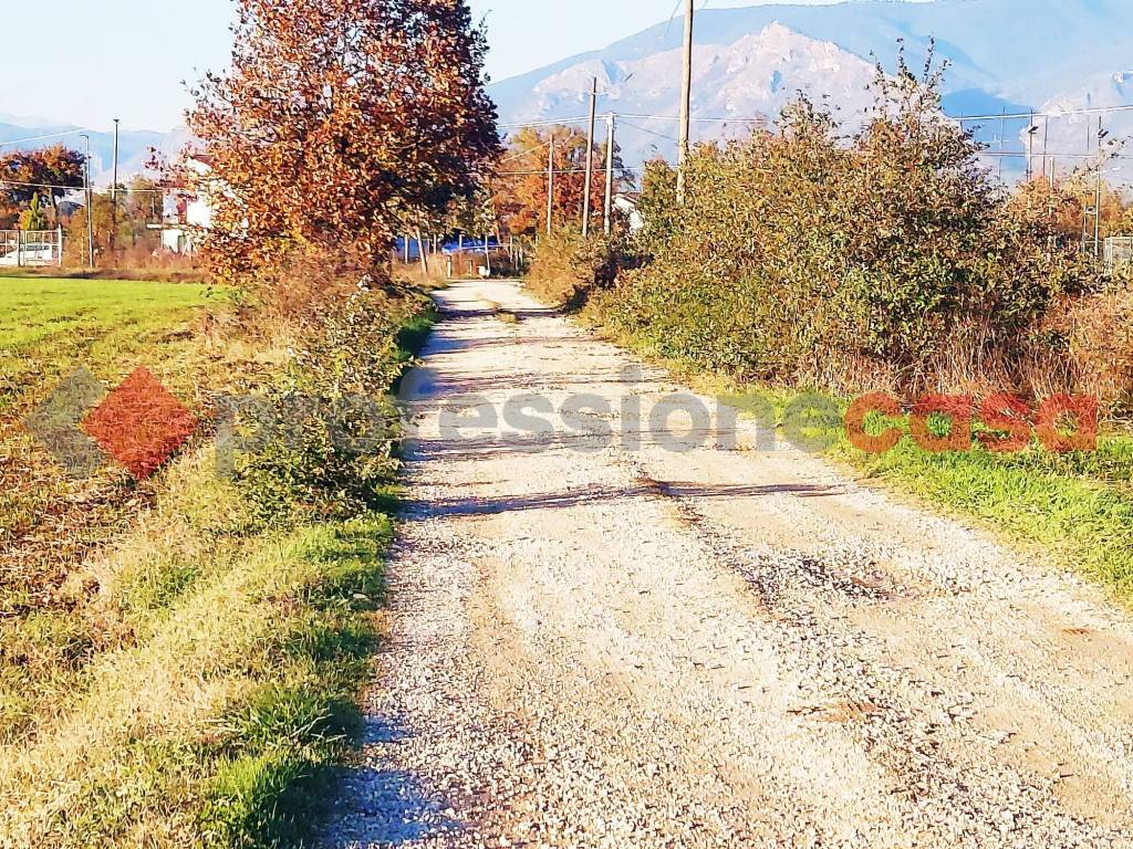 immagine annuncio 6 di 9