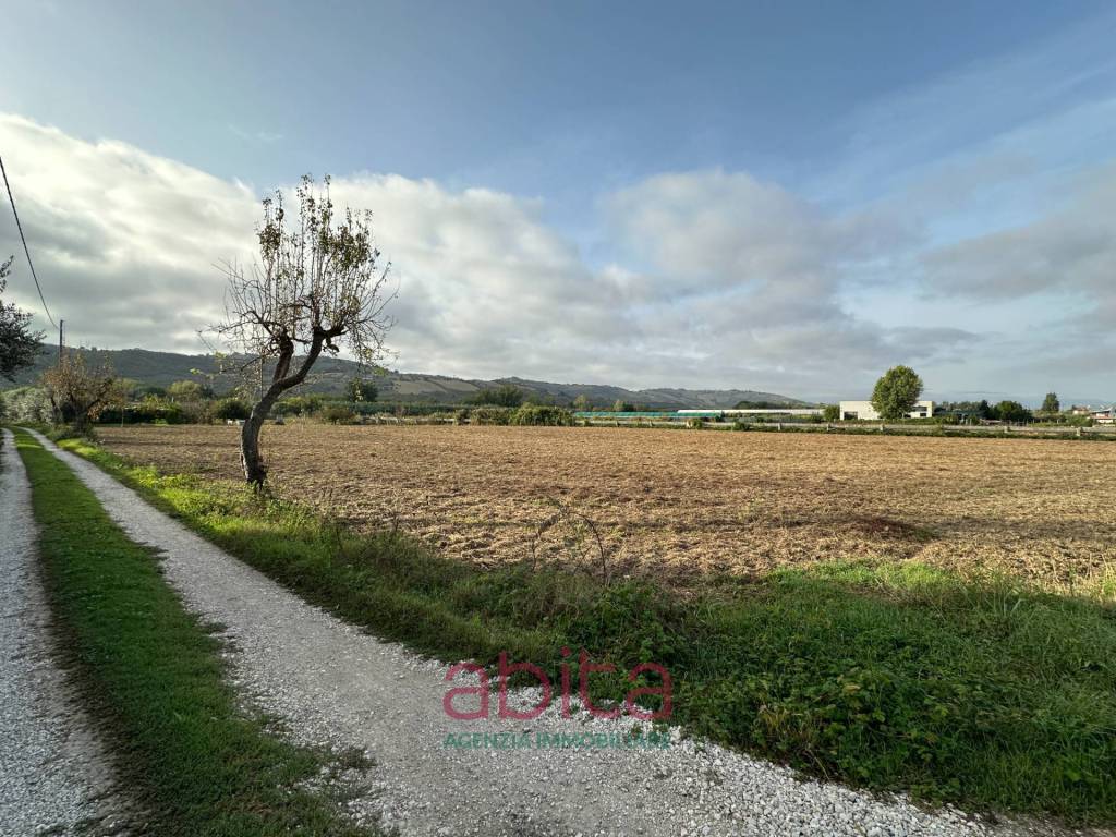 immagine annuncio 2 di 8