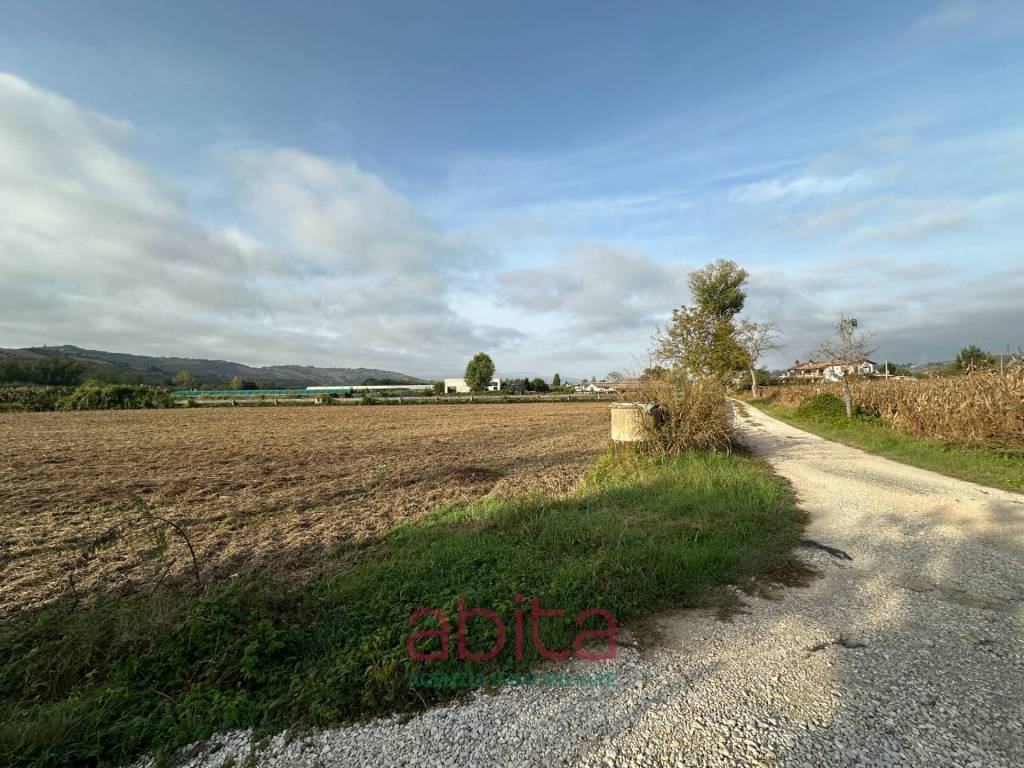 immagine annuncio 4 di 8