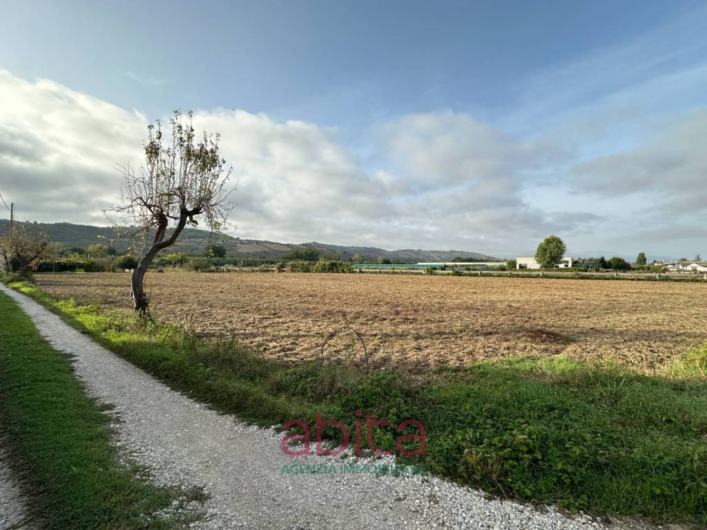 immagine annuncio 5 di 8