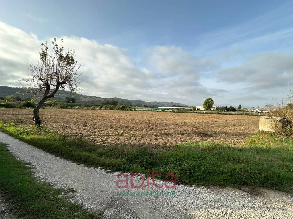 immagine annuncio 6 di 8