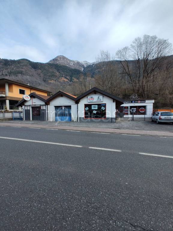 immagine annuncio 7 di 11