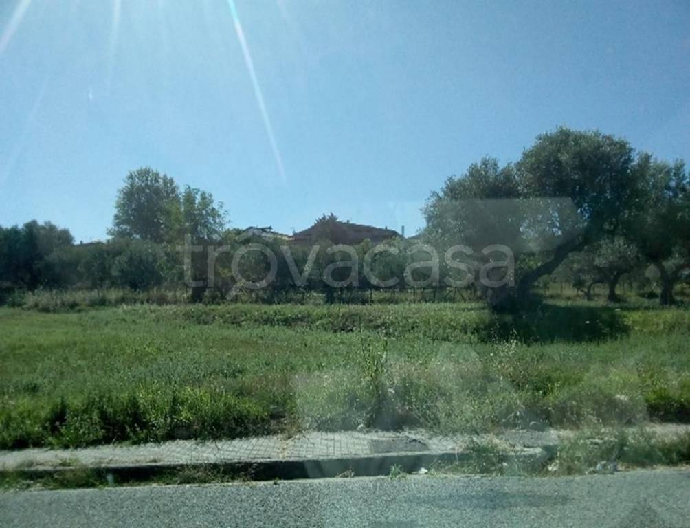 immagine annuncio 1 di 3