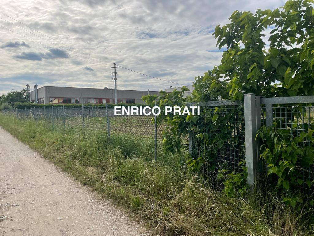 immagine annuncio 3 di 6