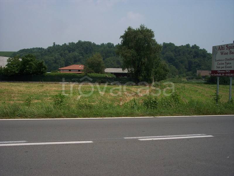 immagine annuncio 1 di 4