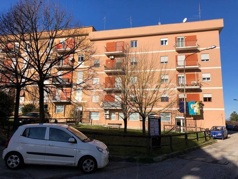 immagine annuncio 9 di 12