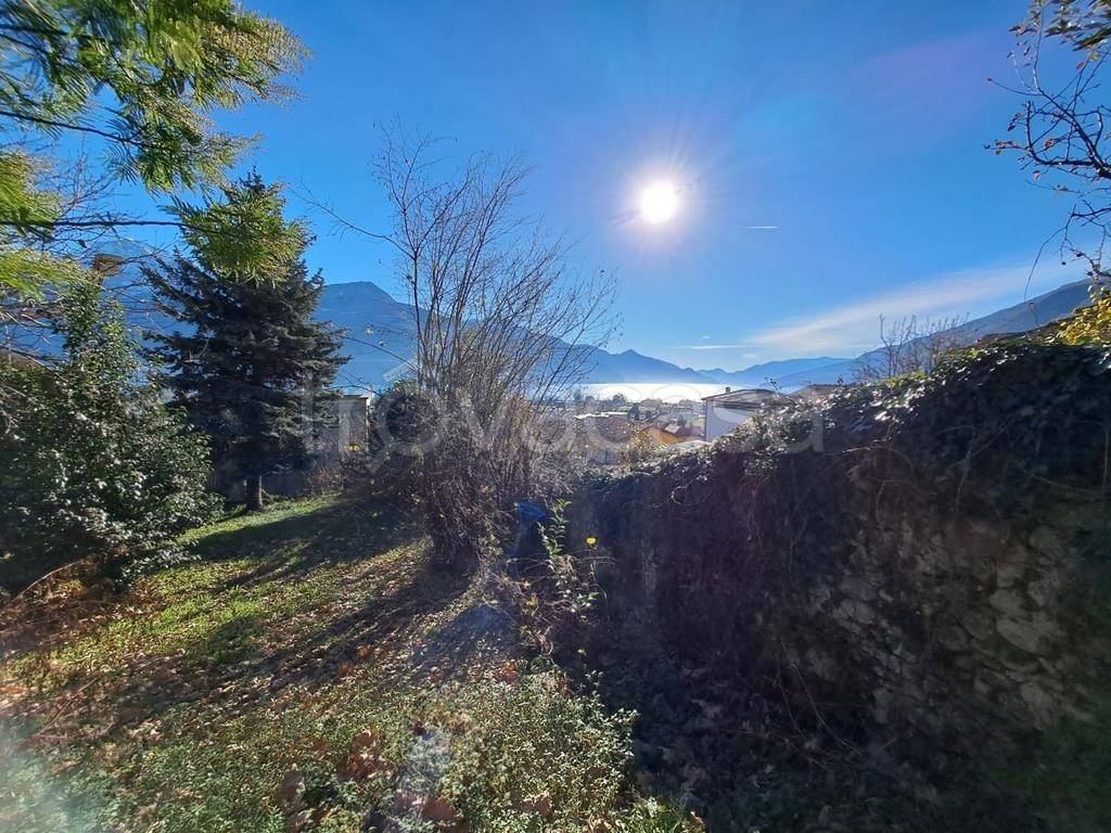immagine annuncio 7 di 8