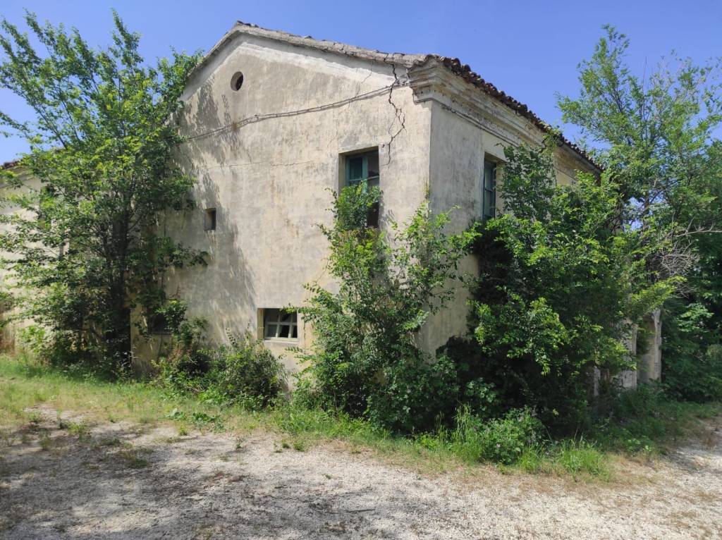 immagine annuncio 3 di 8