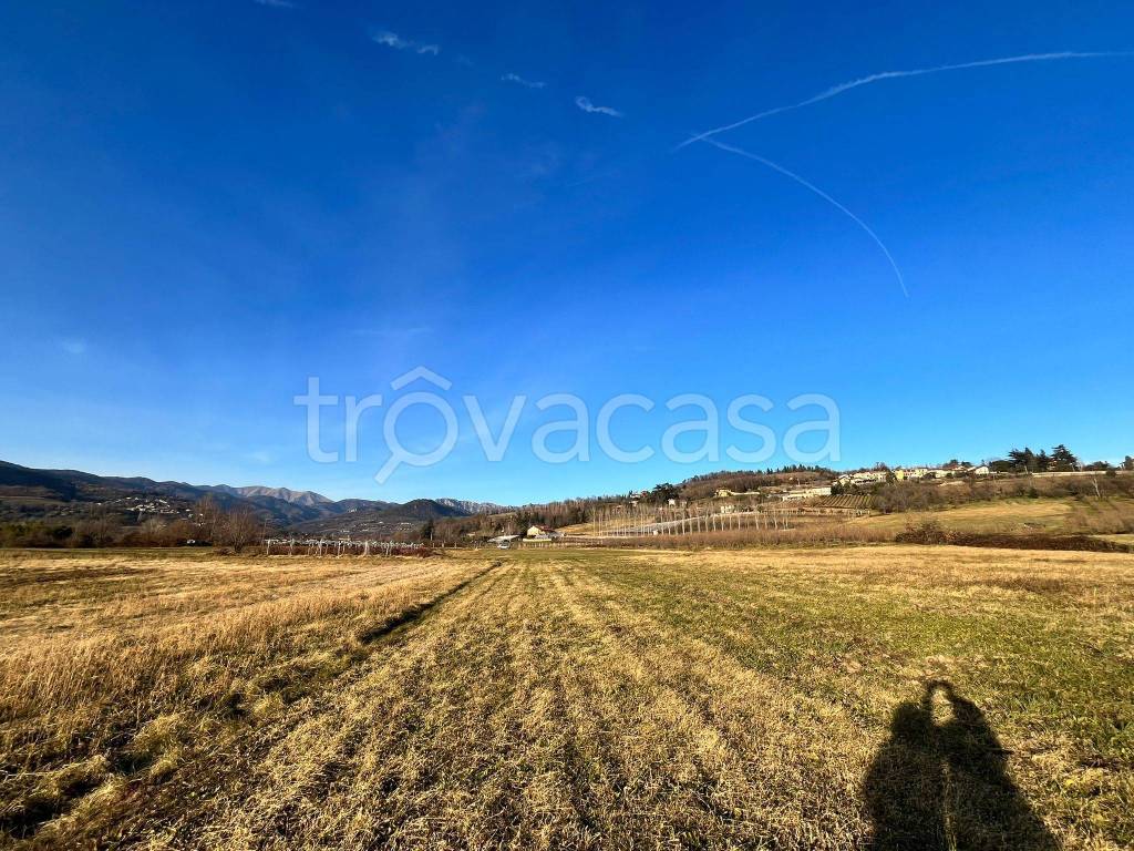 immagine annuncio 4 di 8