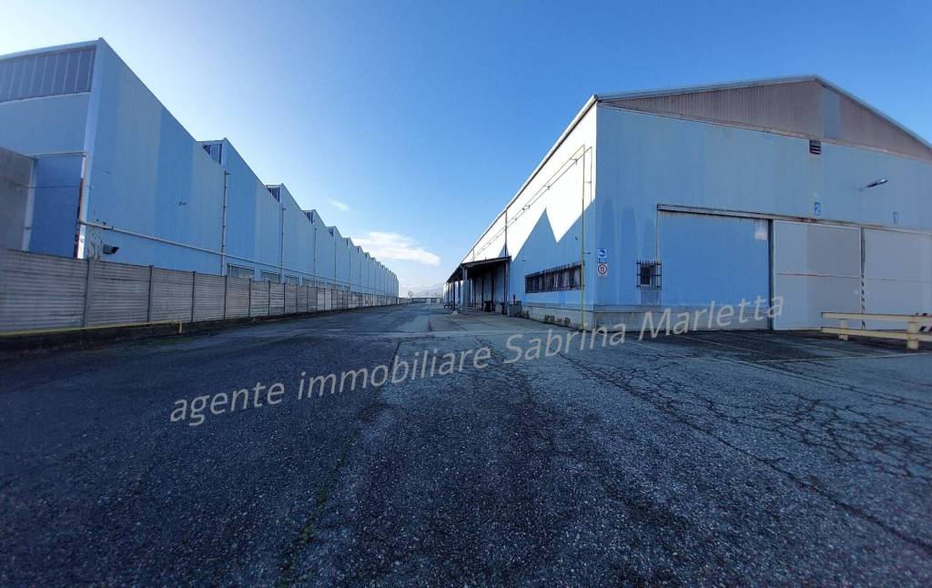 immagine annuncio 12 di 13