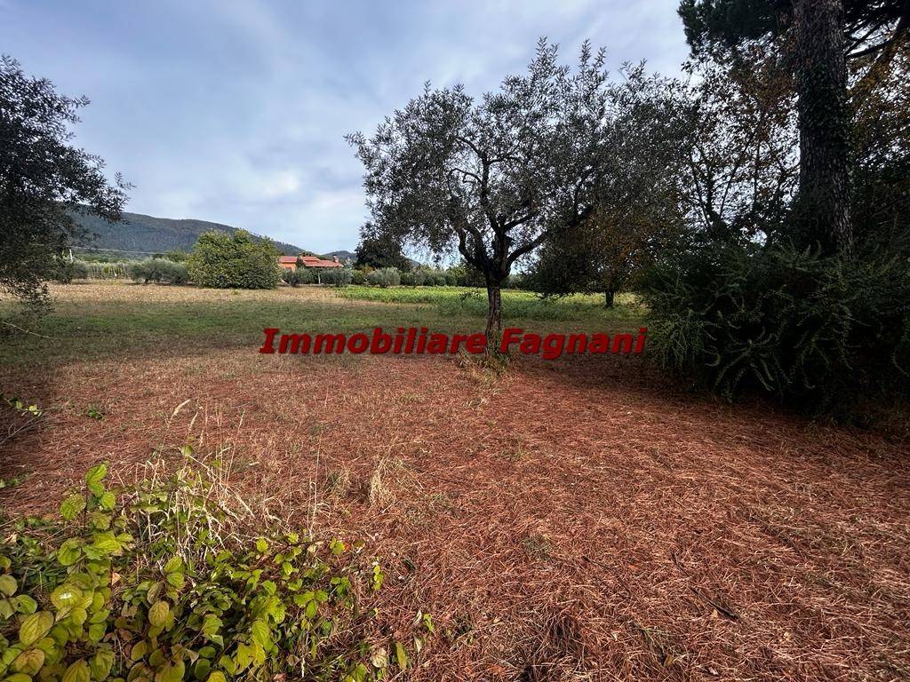 immagine annuncio 4 di 9