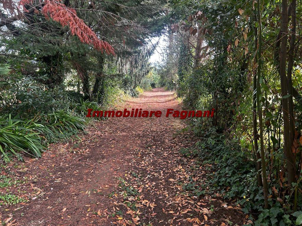 immagine annuncio 7 di 9