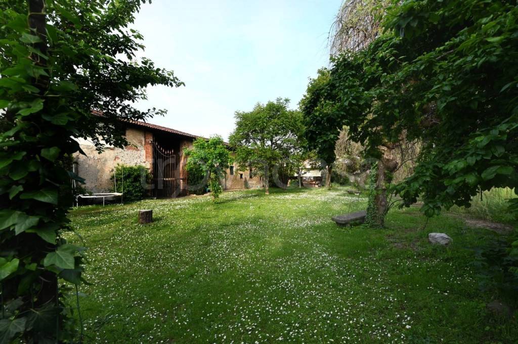 immagine annuncio 8 di 12