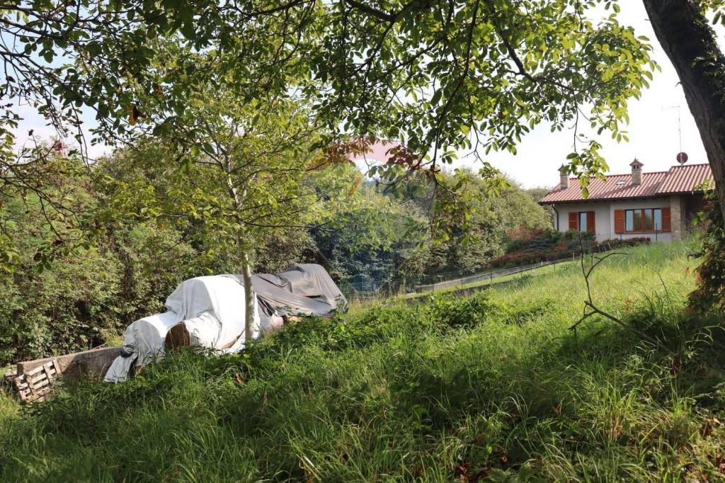 immagine annuncio 4 di 12