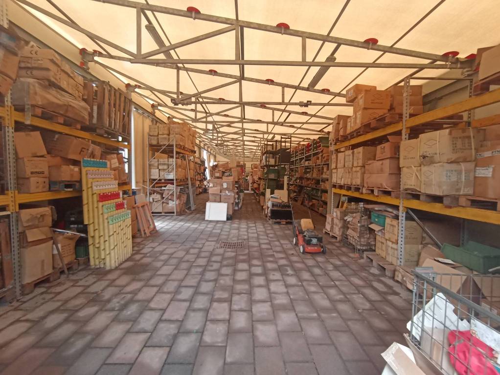 immagine annuncio 9 di 15