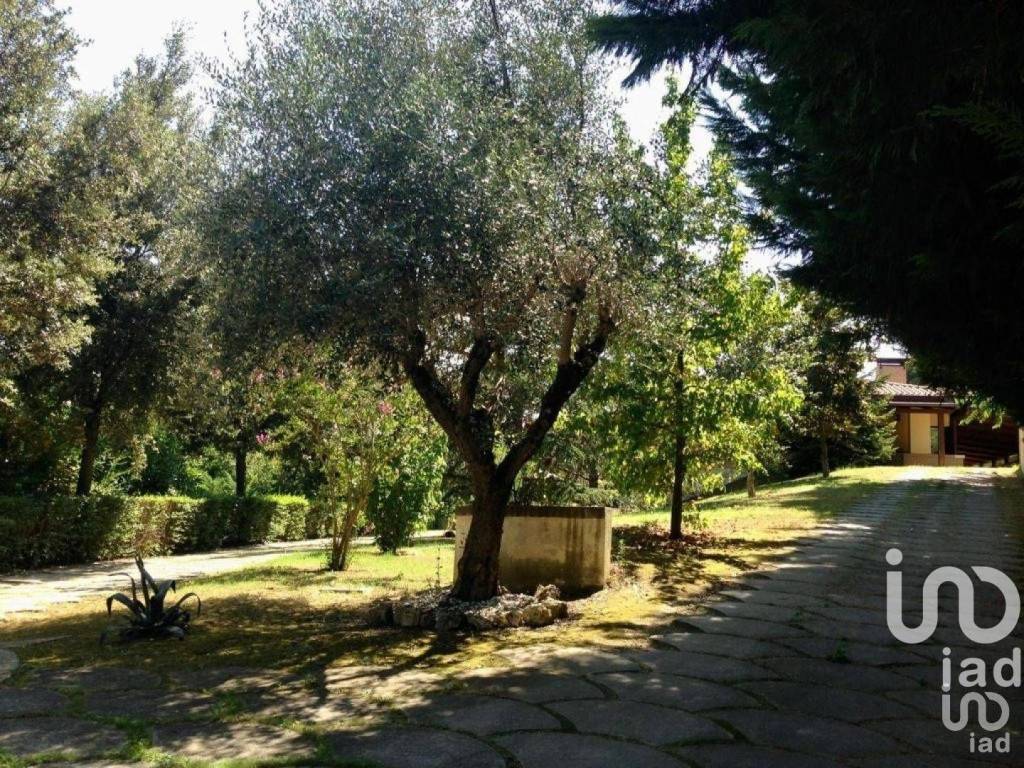immagine annuncio 7 di 11