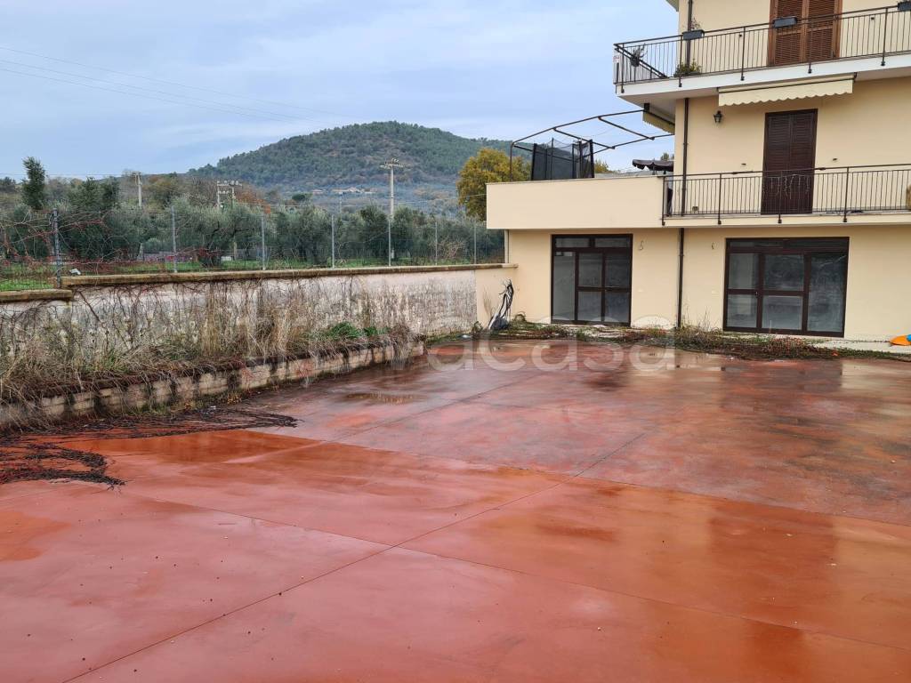 immagine annuncio 6 di 12