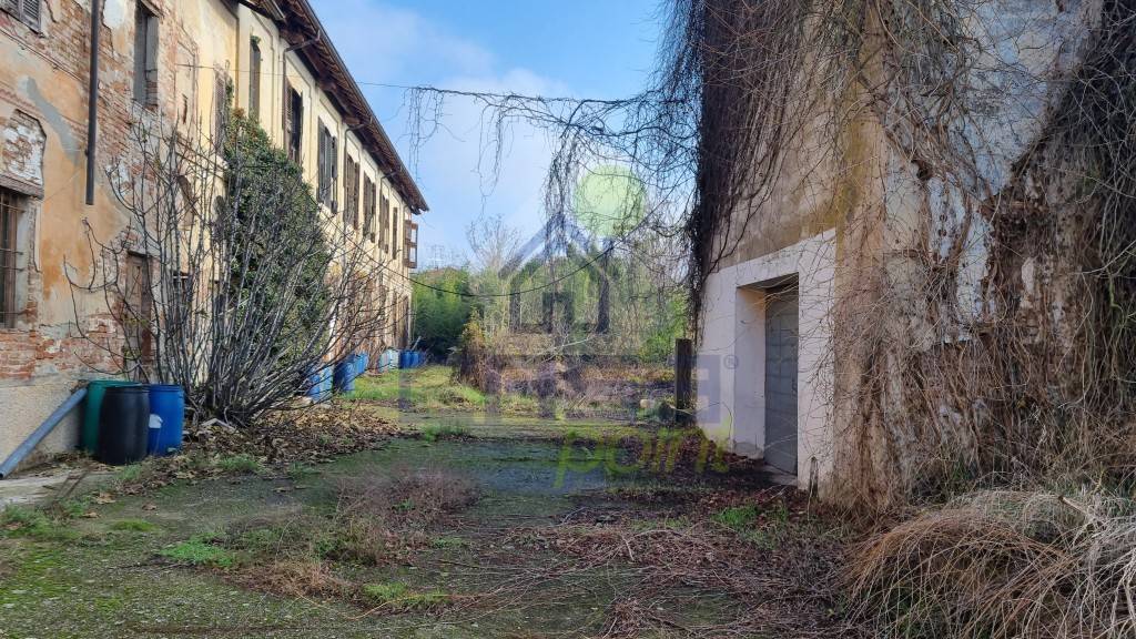 immagine annuncio 4 di 7