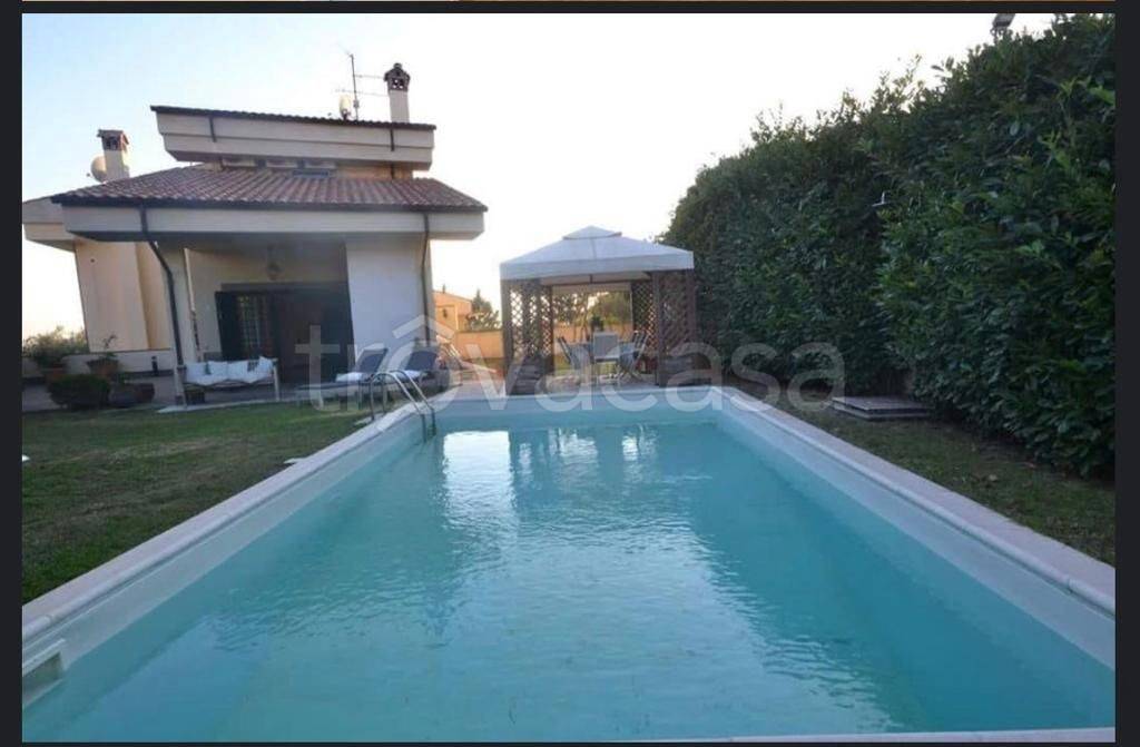 Villa Bifamiliare in in affitto da privato ad Albano Laziale via Olivella, 171