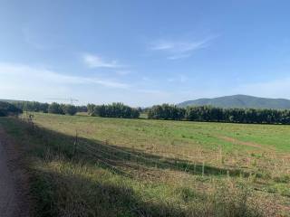 Terreno residenziale in vendita ad alghero 