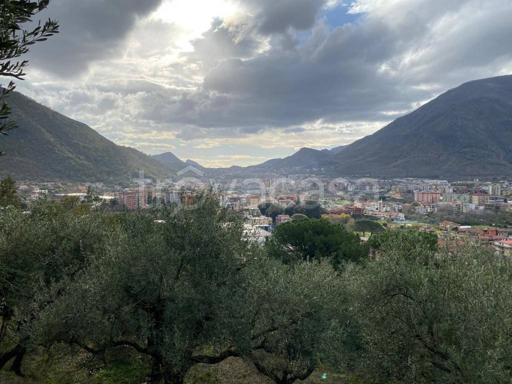immagine annuncio 8 di 9