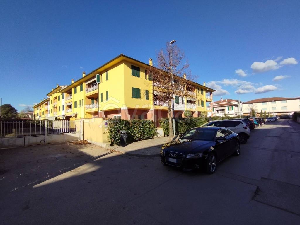 immagine annuncio 2 di 15