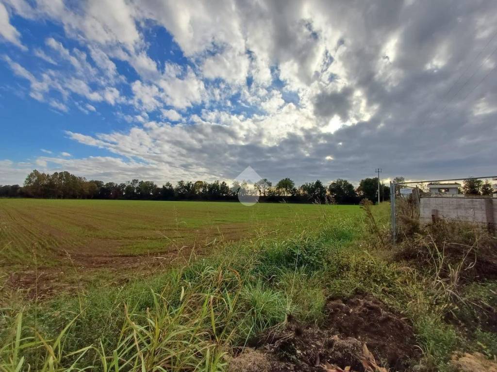 immagine annuncio 8 di 14