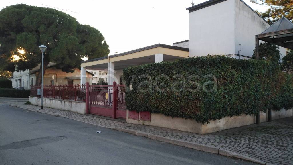 immagine annuncio 9 di 12