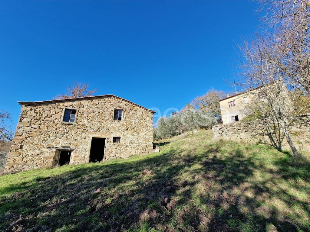 immagine annuncio 4 di 9