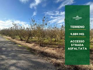 Terreno agricolo in vendita a nola via feudo