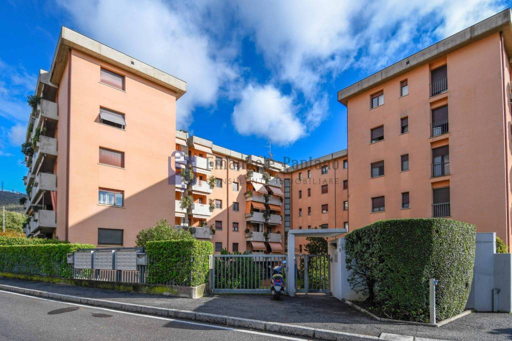 Appartamento in affitto a Bergamo via Giacomo Bresadola, 10